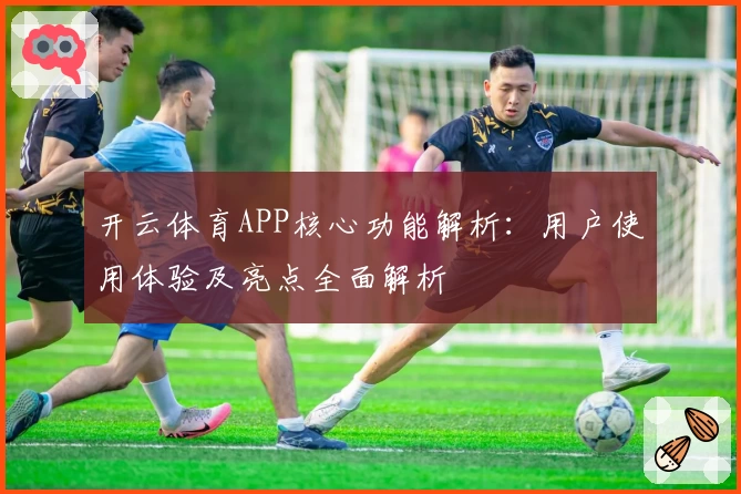 开云体育APP核心功能解析：用户使用体验及亮点全面解析