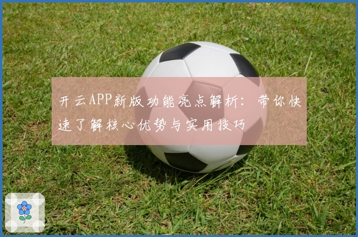 开云APP新版功能亮点解析：带你快速了解核心优势与实用技巧